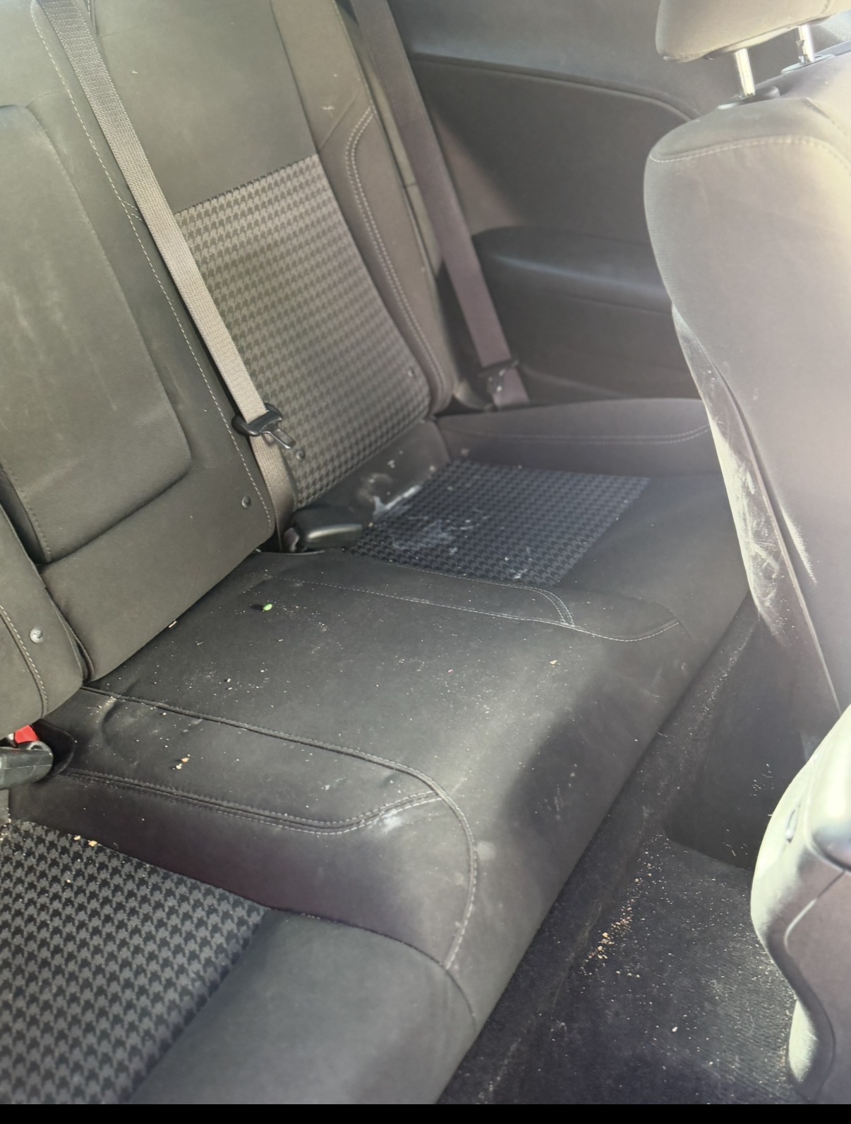 Vehicle back seat before an interior detail